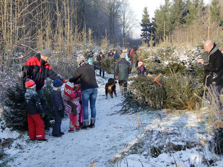 Kuinderbos