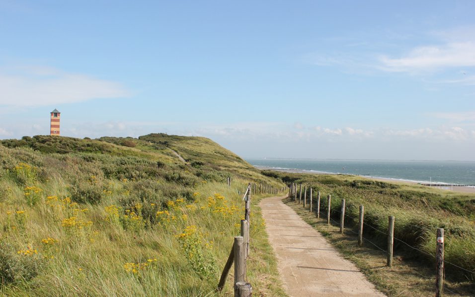 Dünen