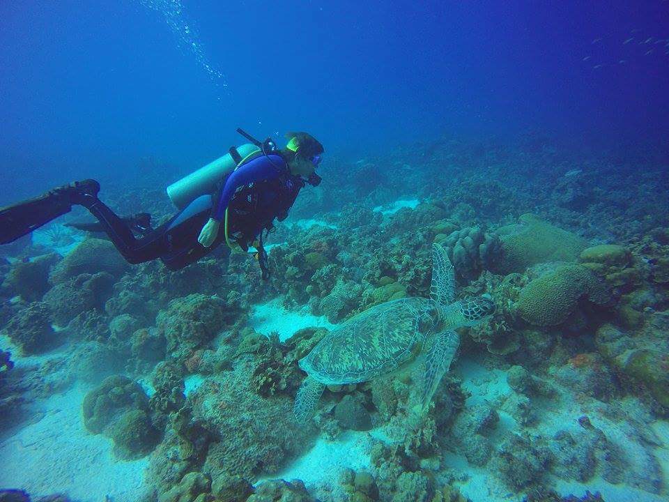 scuba