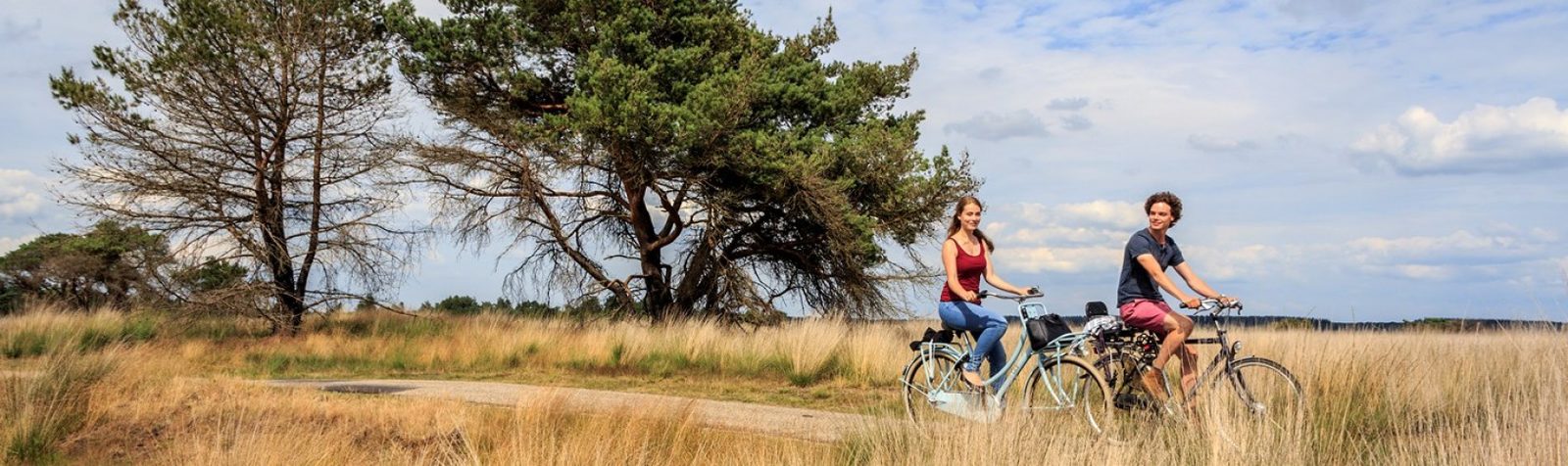 Nationalpark De Hoge Veluwe
