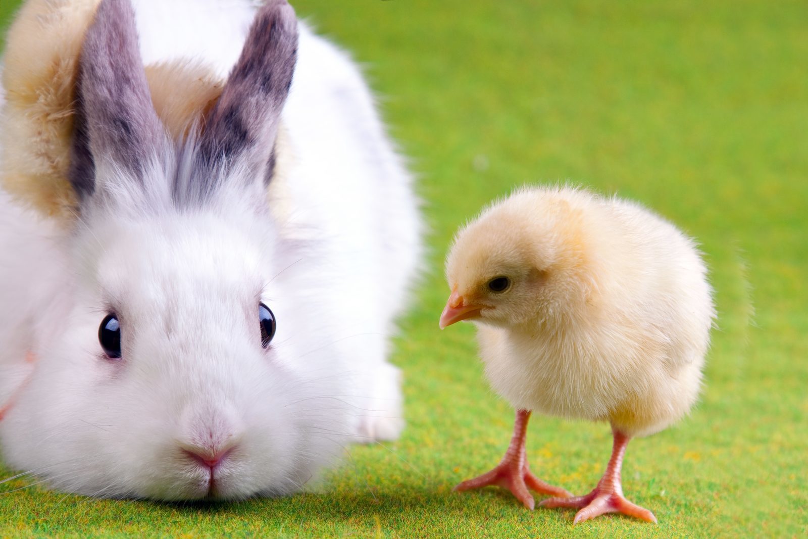 Ostern