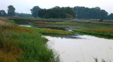 Vloeivelden de Krim