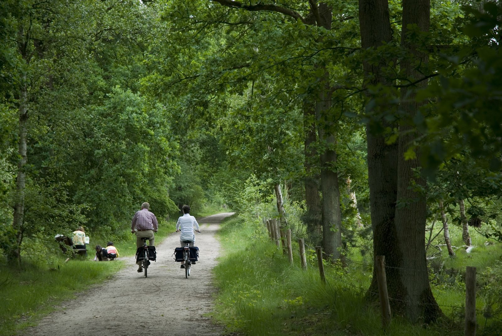 Fietsvakantie Nederland Fietsvakantie Nederland