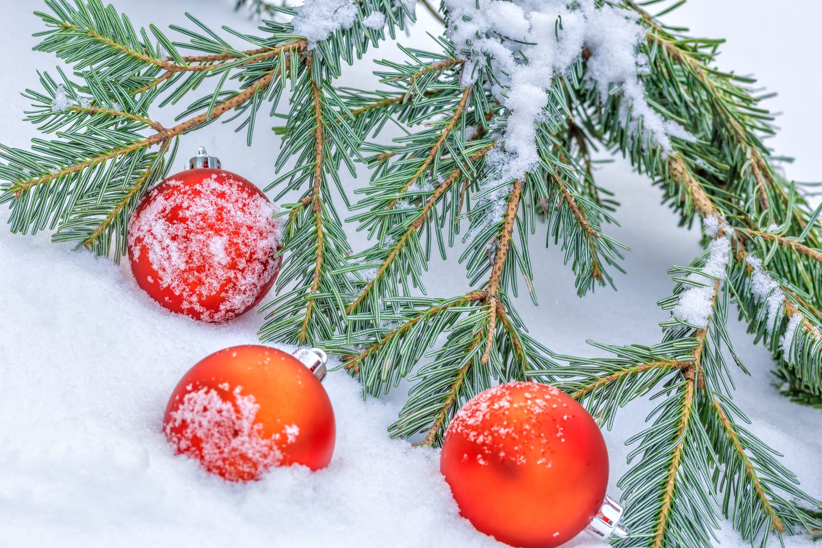 Weihnachtsferien in einem Ferienpark in Deutschland | Ferienpark Hambachtal