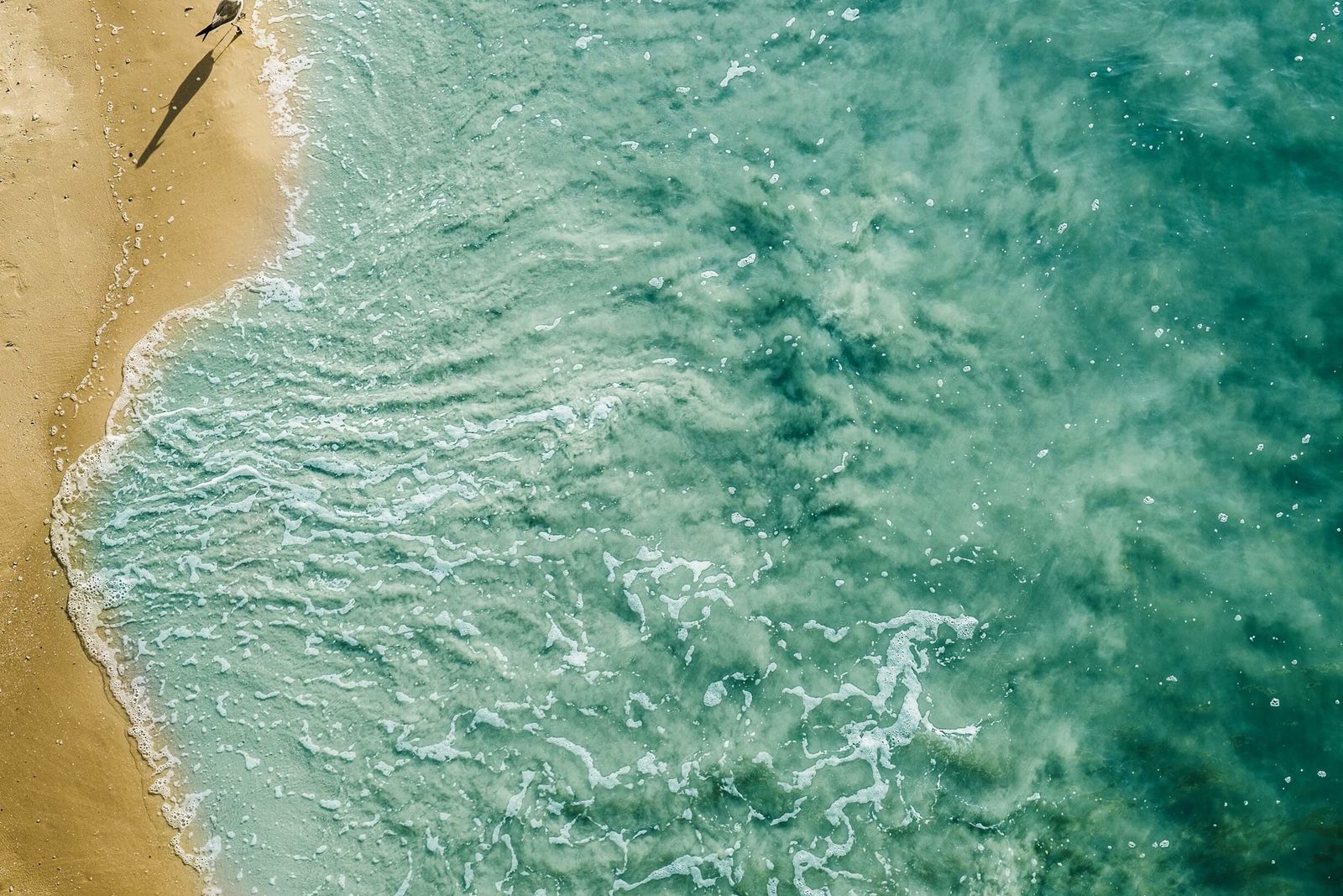 Een zonvakantie op Bonaire gaat gepaard met relaxen op het strand en genieten van het prachtige weer.