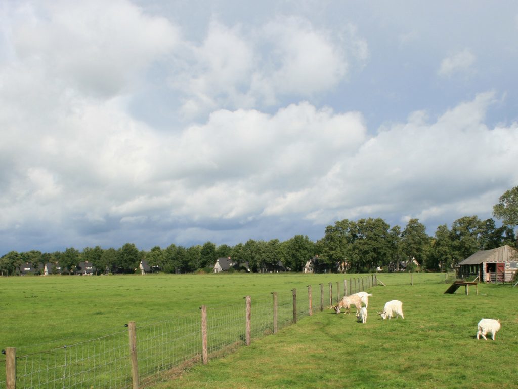 Een rondje Boksloot: wandelen om Hof van Salland