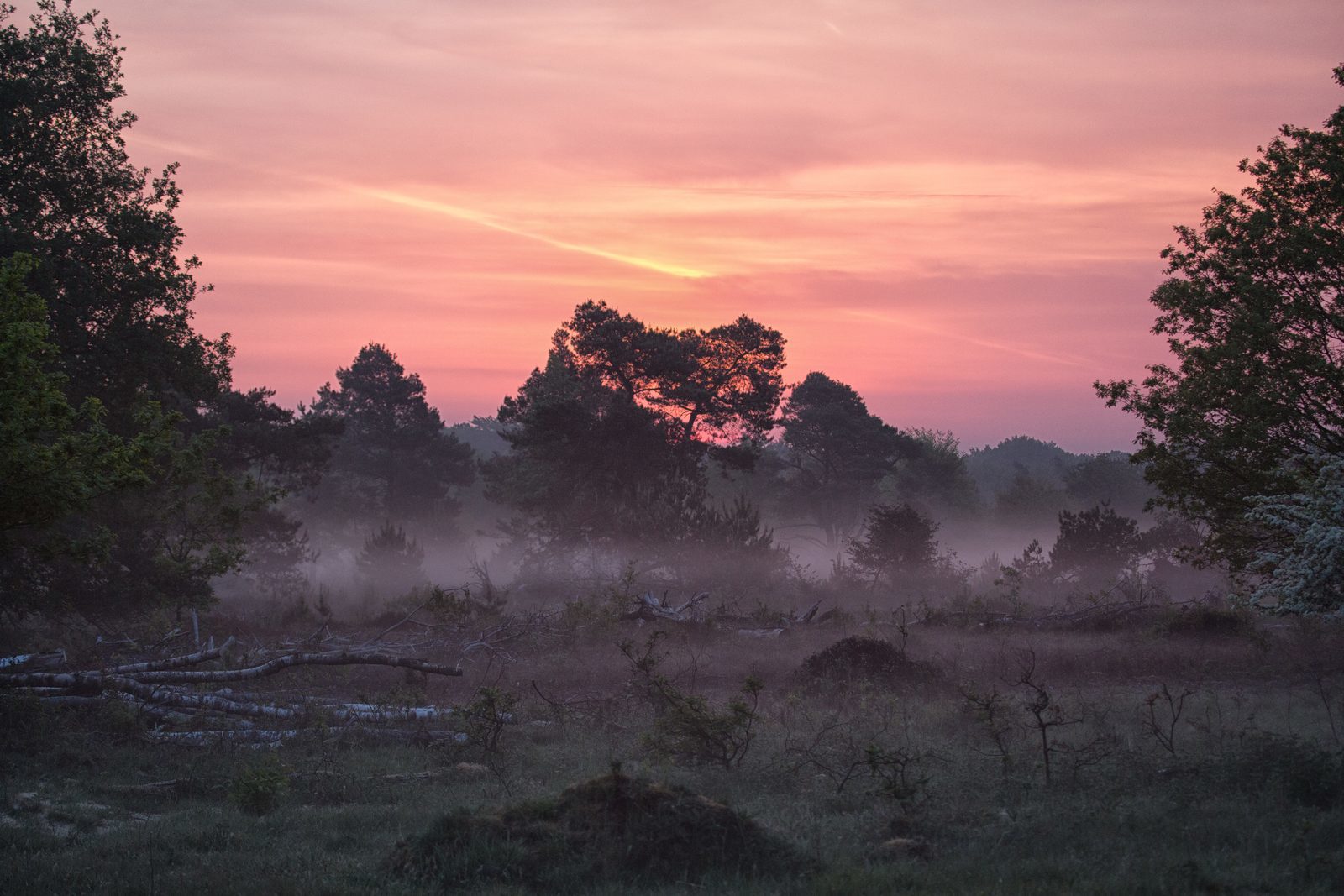 Nationaal Park de Sallandse Heuvelrug
