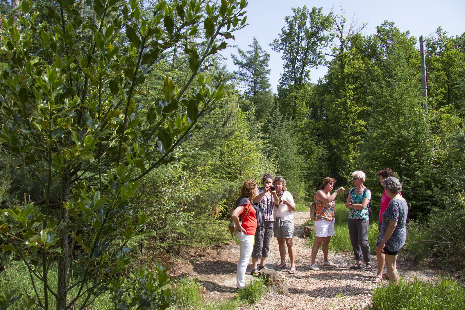 wandelen in Twente en combineren met een overnachting op landgoed 't Borghuis. www.borghuis.nl