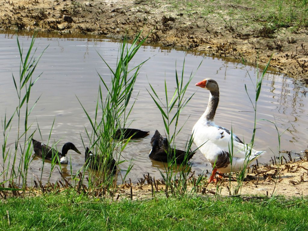 Zoek en boek Voor ieder wat wils….