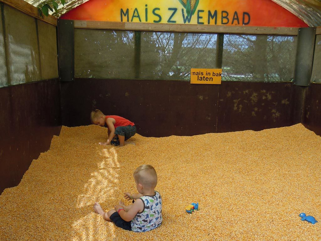 Maisdoolhof