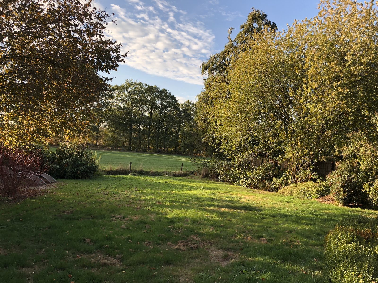 Uitzicht de Kastanje