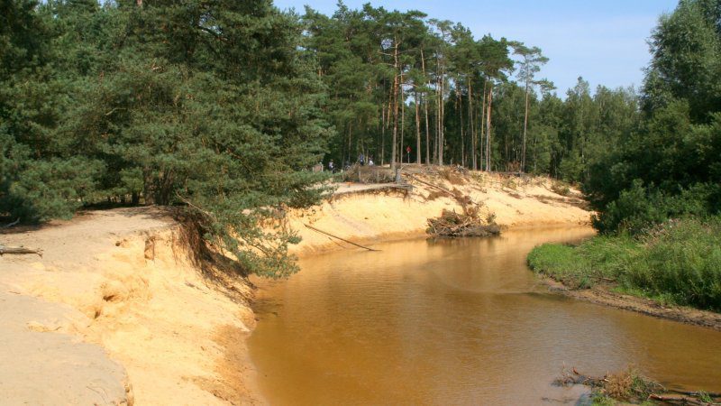 www.borghuis.nl