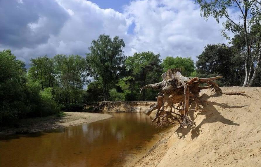 Wandelen combineren met een overnachting op landgoed 't Borghuis. www.borghuis.nl