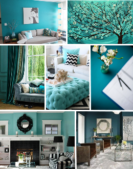 Metamorfose aan huis