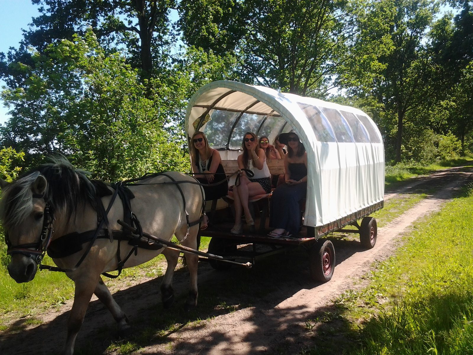 Huifkartocht