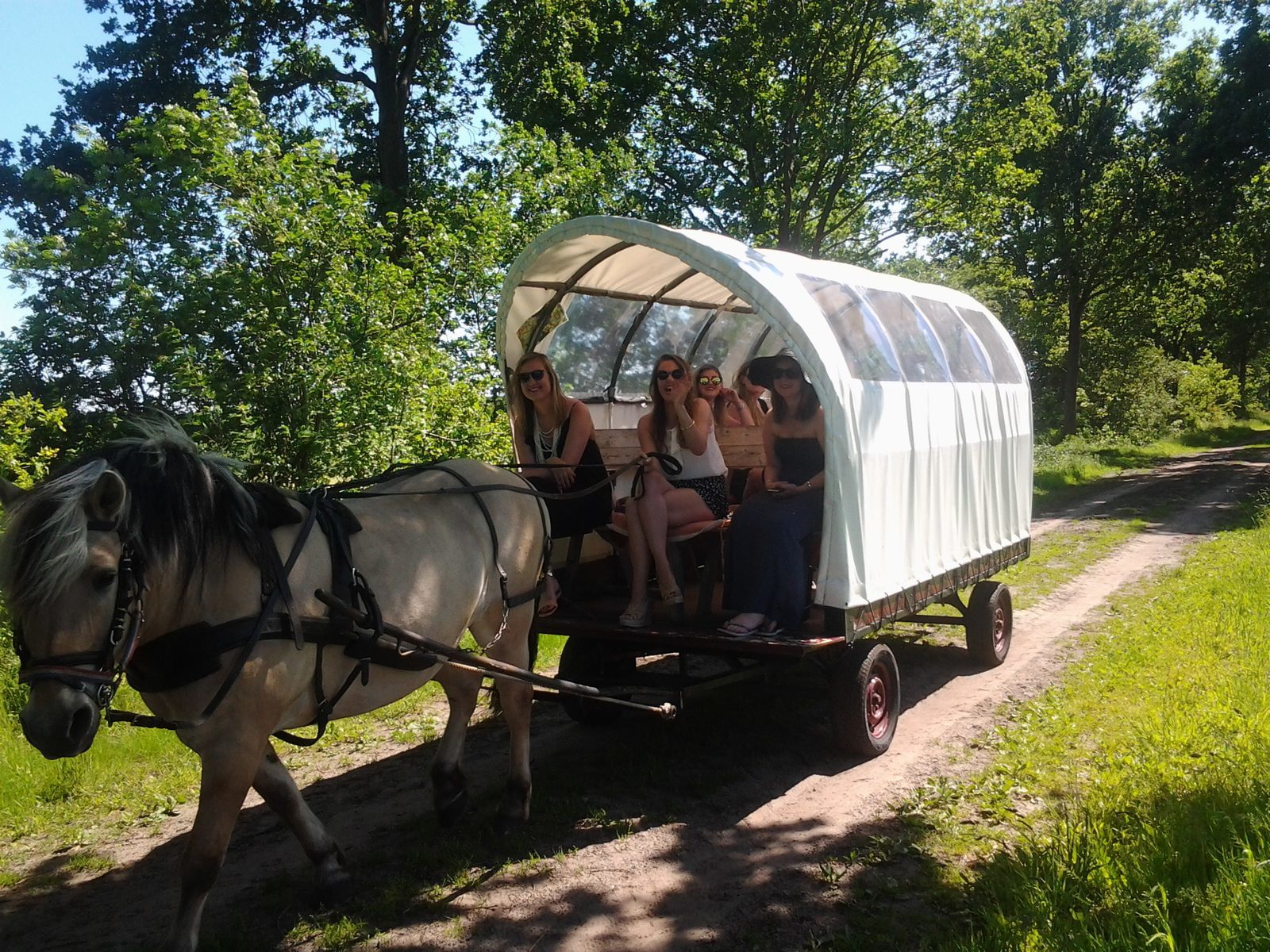 Huifkartocht