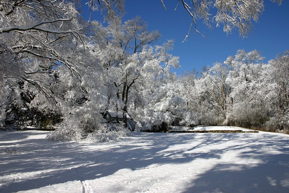 Winterse omgeving Petite Suisse