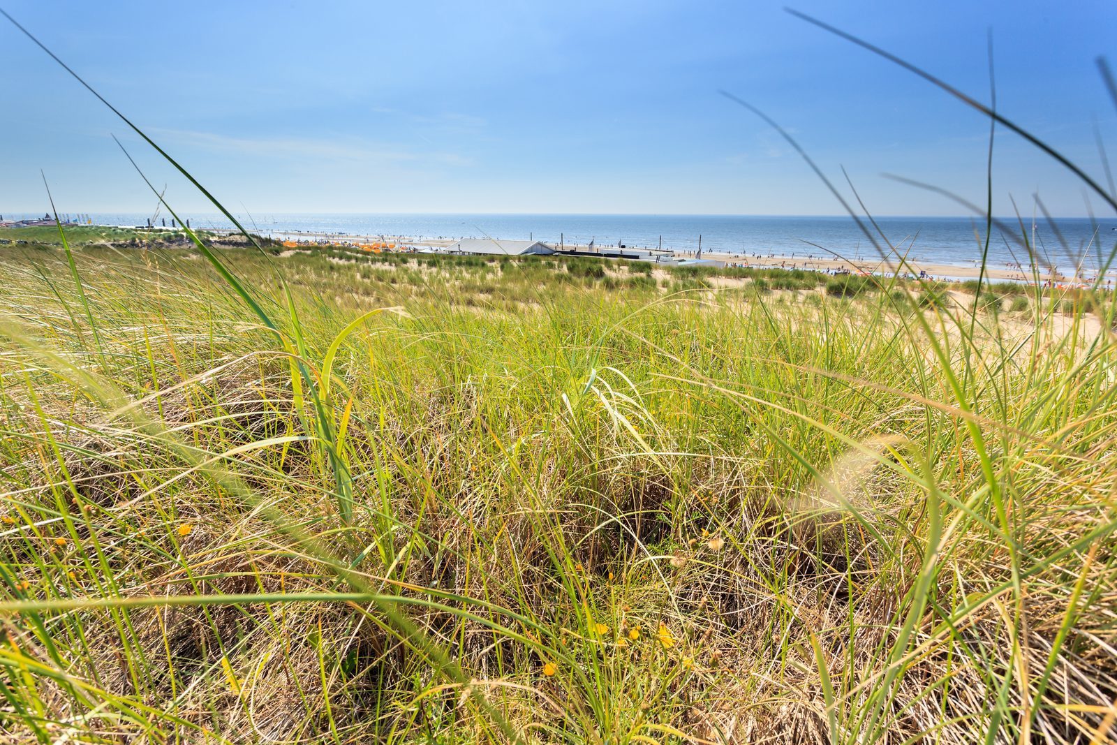 Coast of Noordwijk