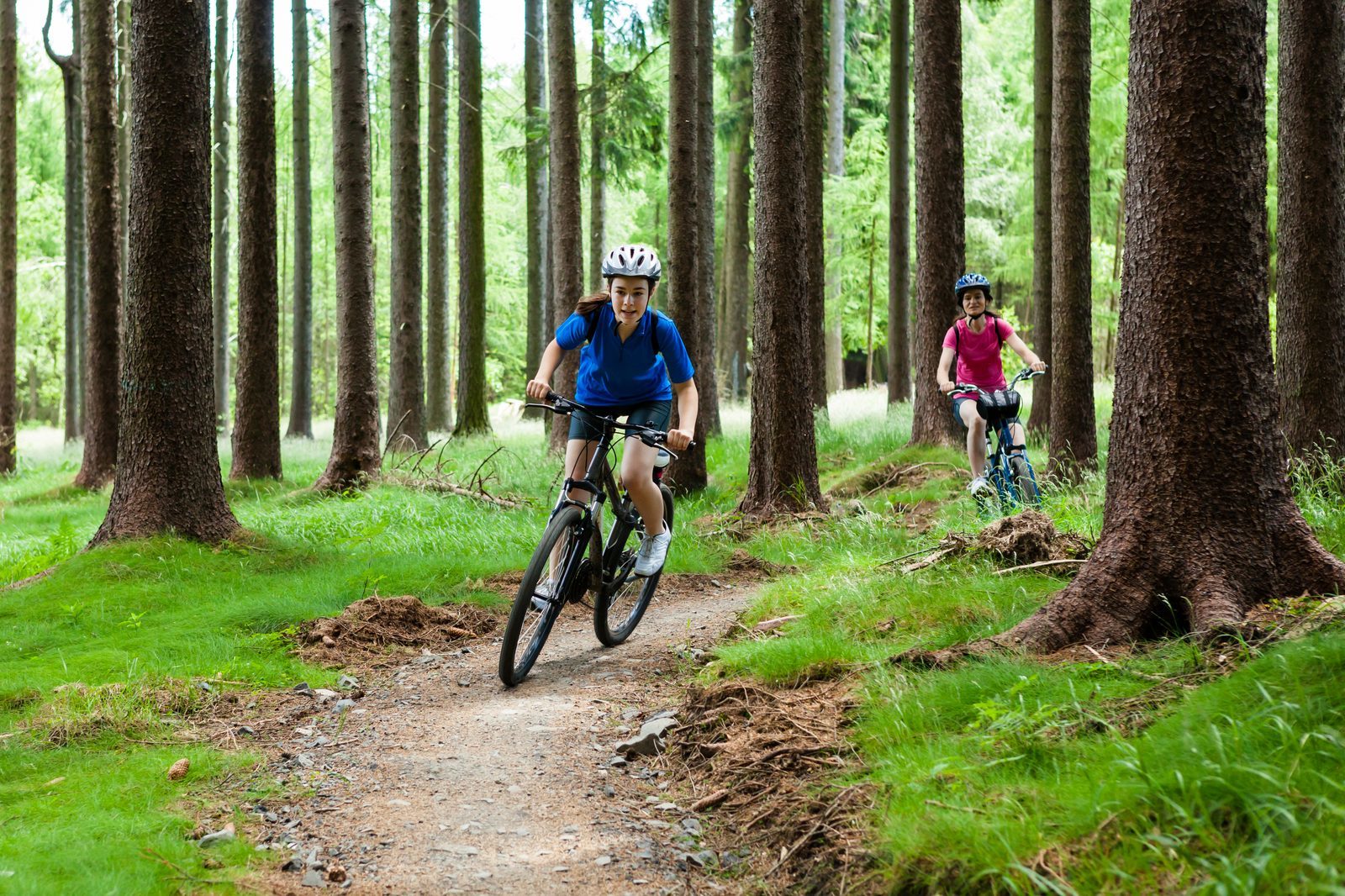 Mountain bike rental