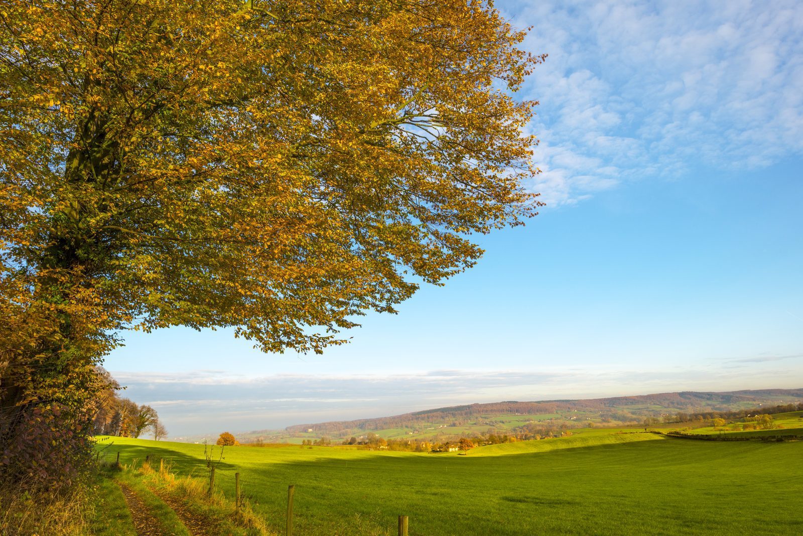 Hilly landscape southern Limburg