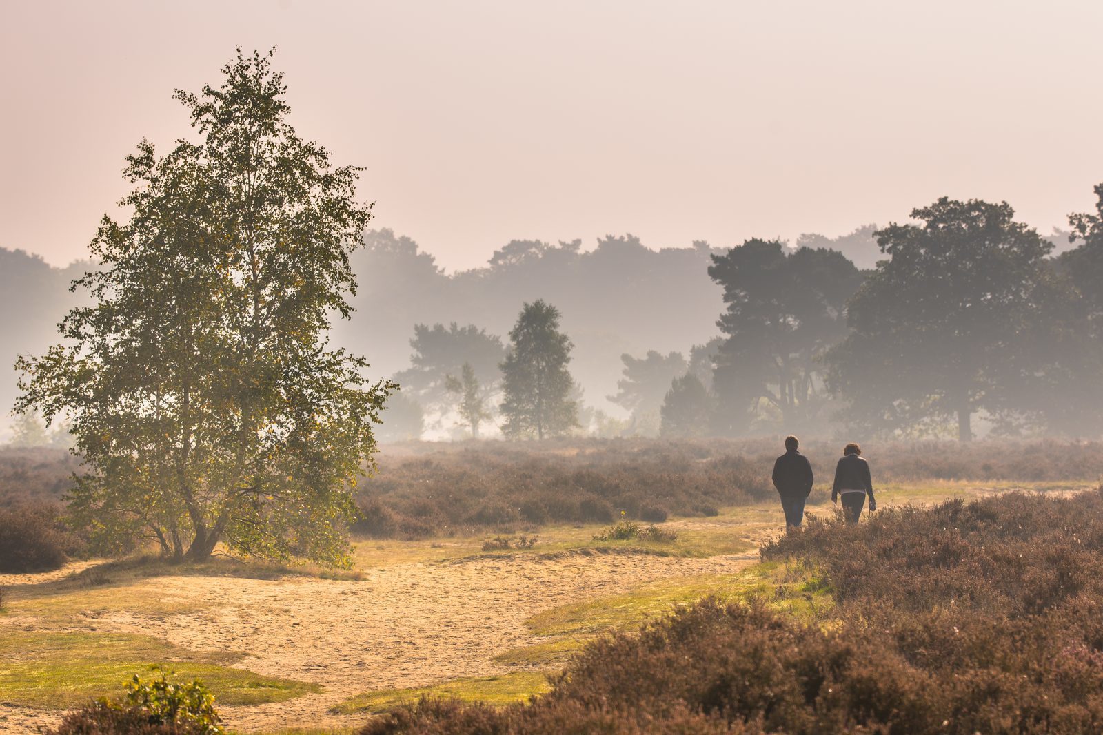 Wandern im Nationalpark Hoge Veluwe
