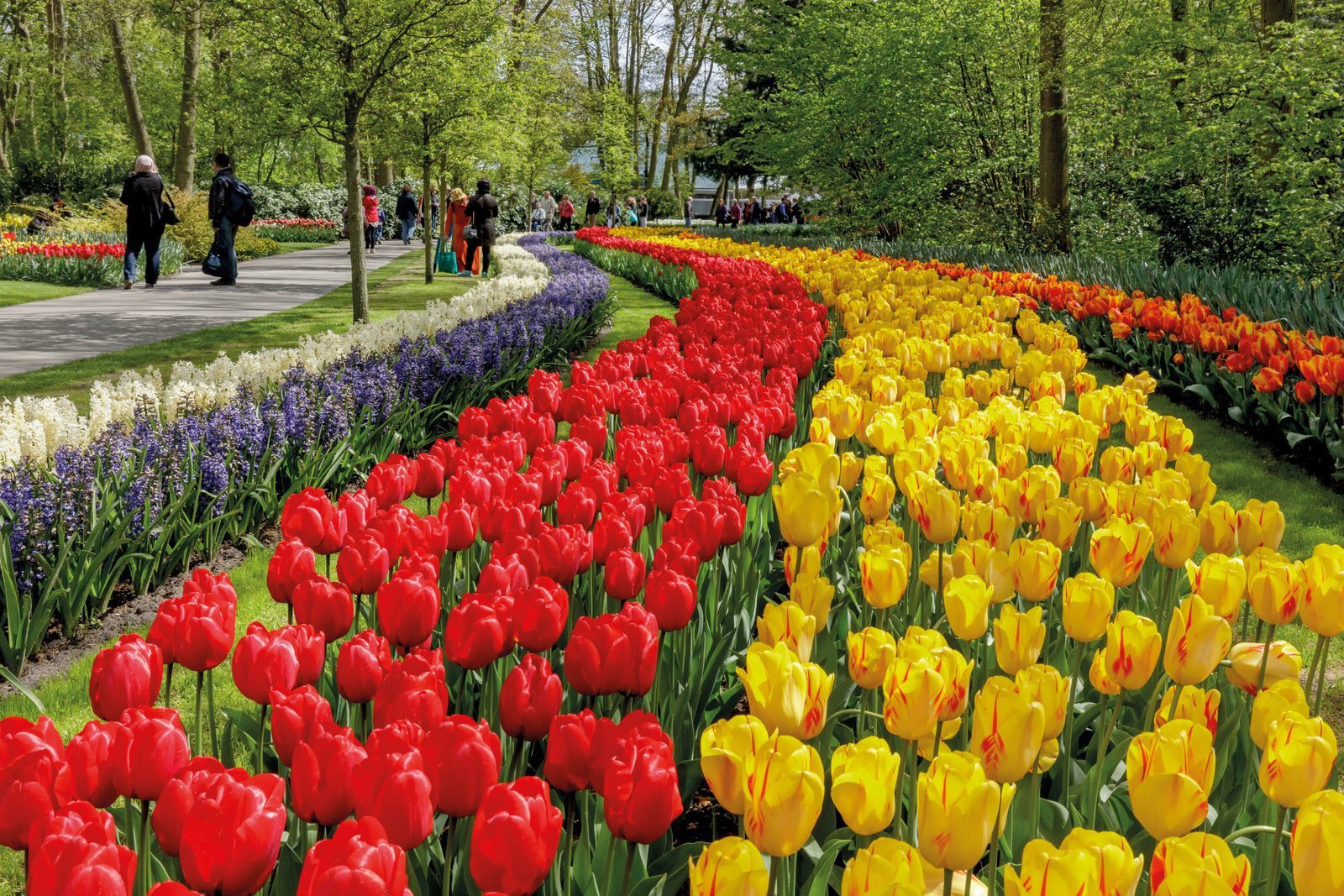 Keukenhof