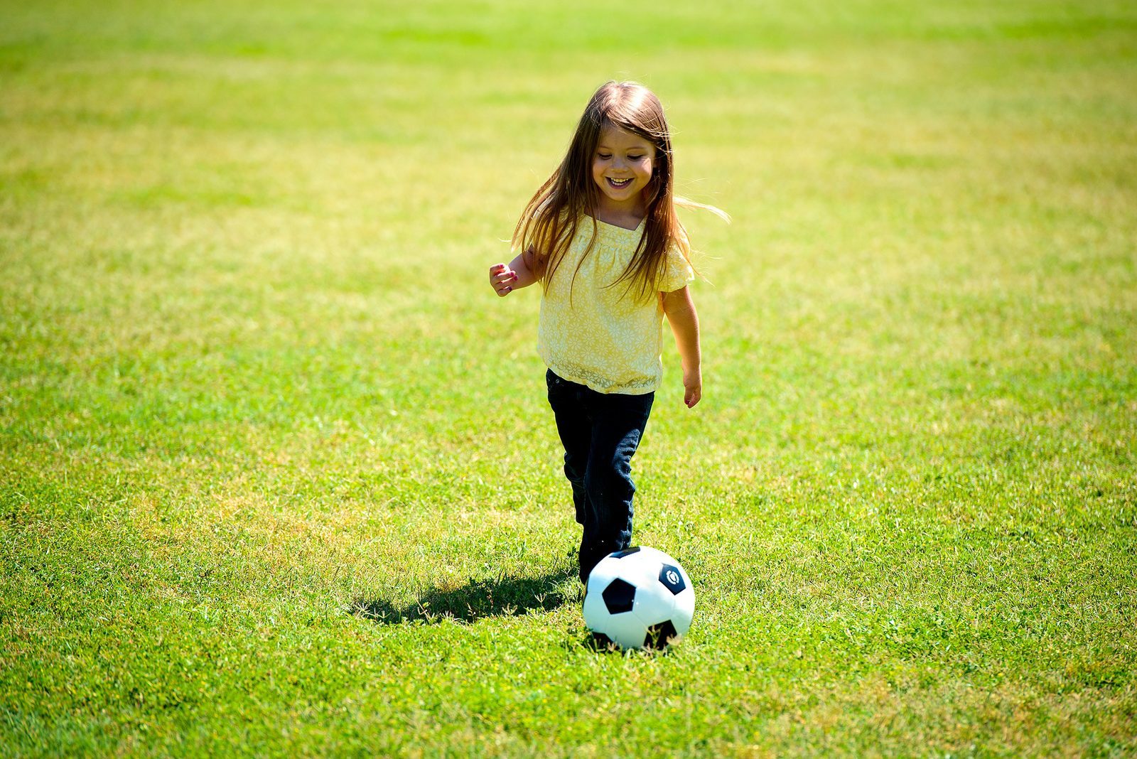 Sports fields