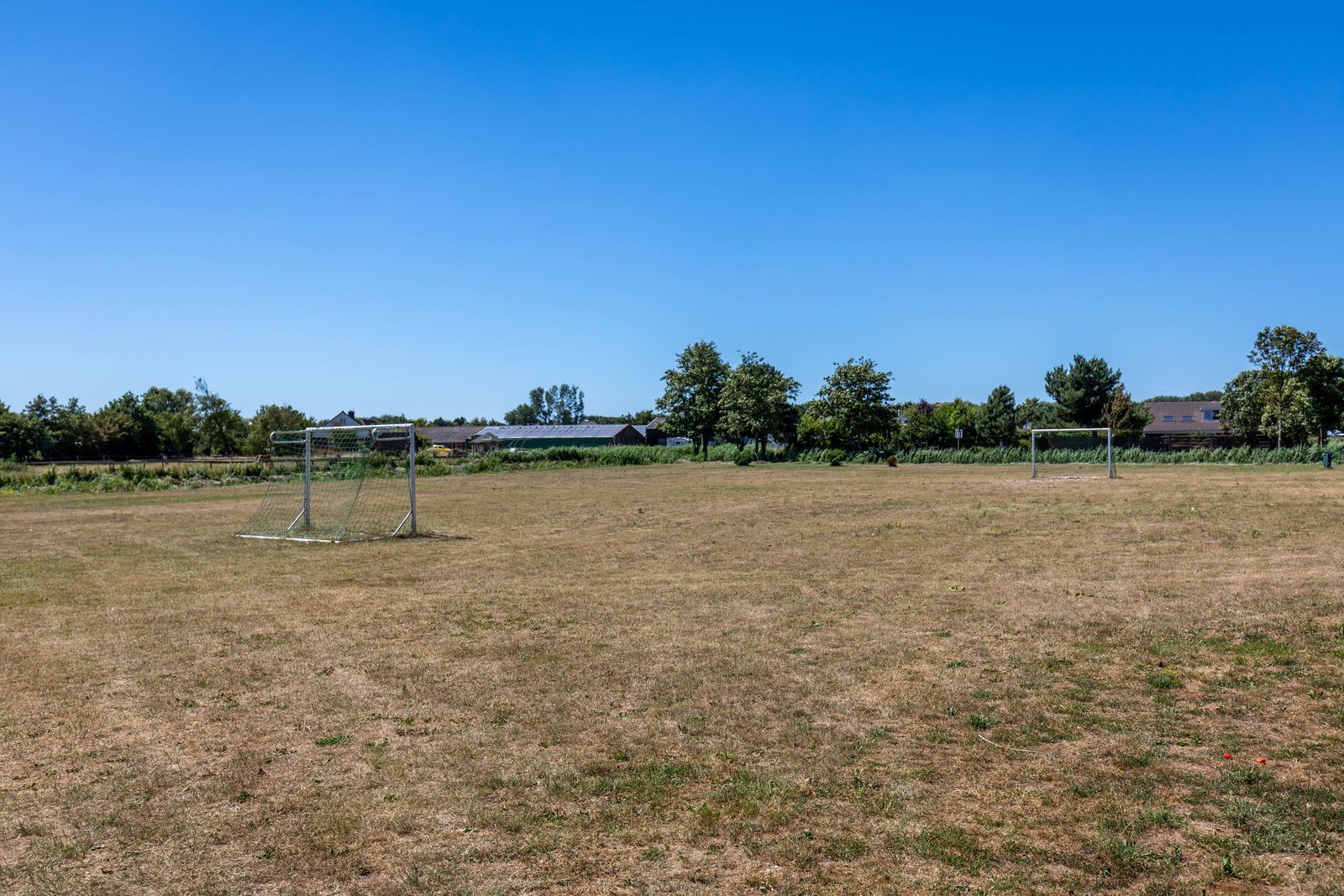 Sportvelden