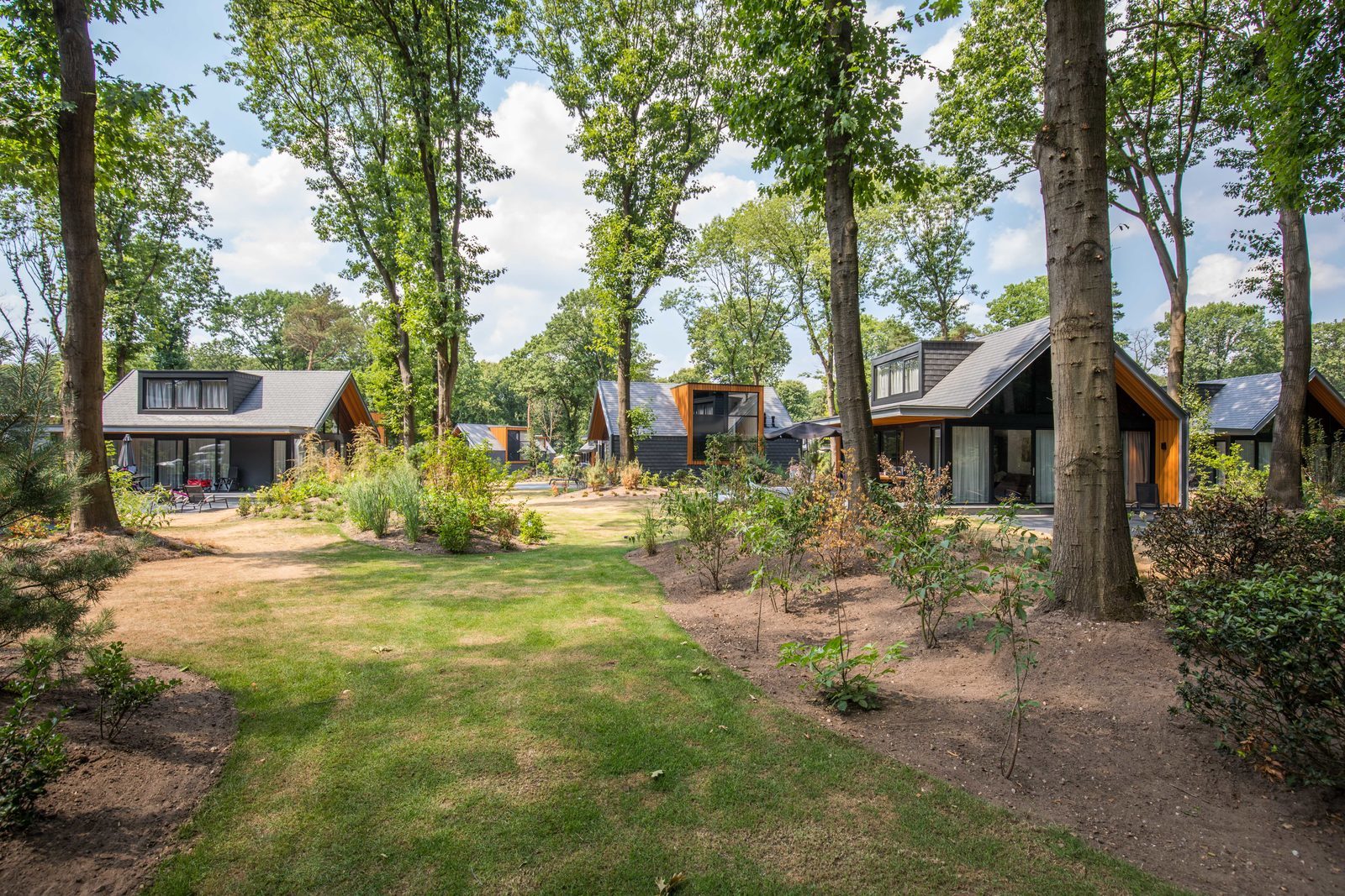 Villa's op Landgoed de Scheleberg