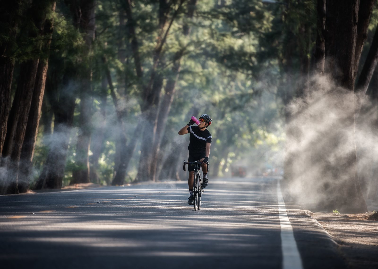 Le cyclisme dans la Veluwe