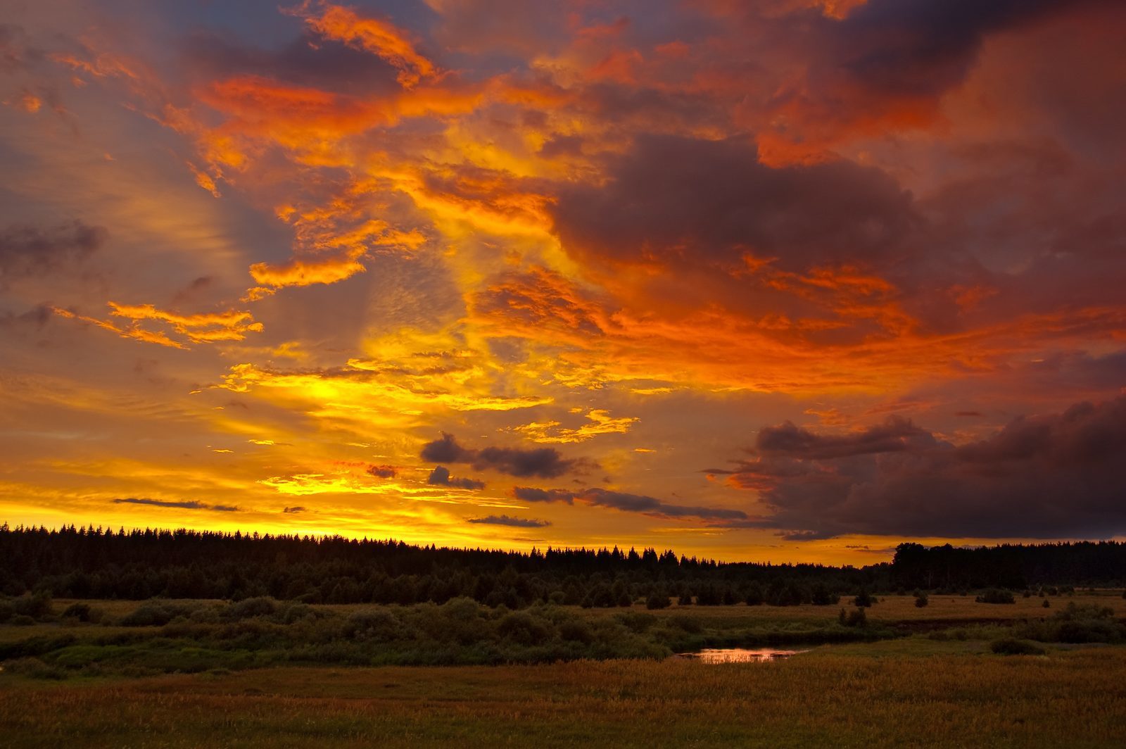 Coucher de soleil dans la Veluwe