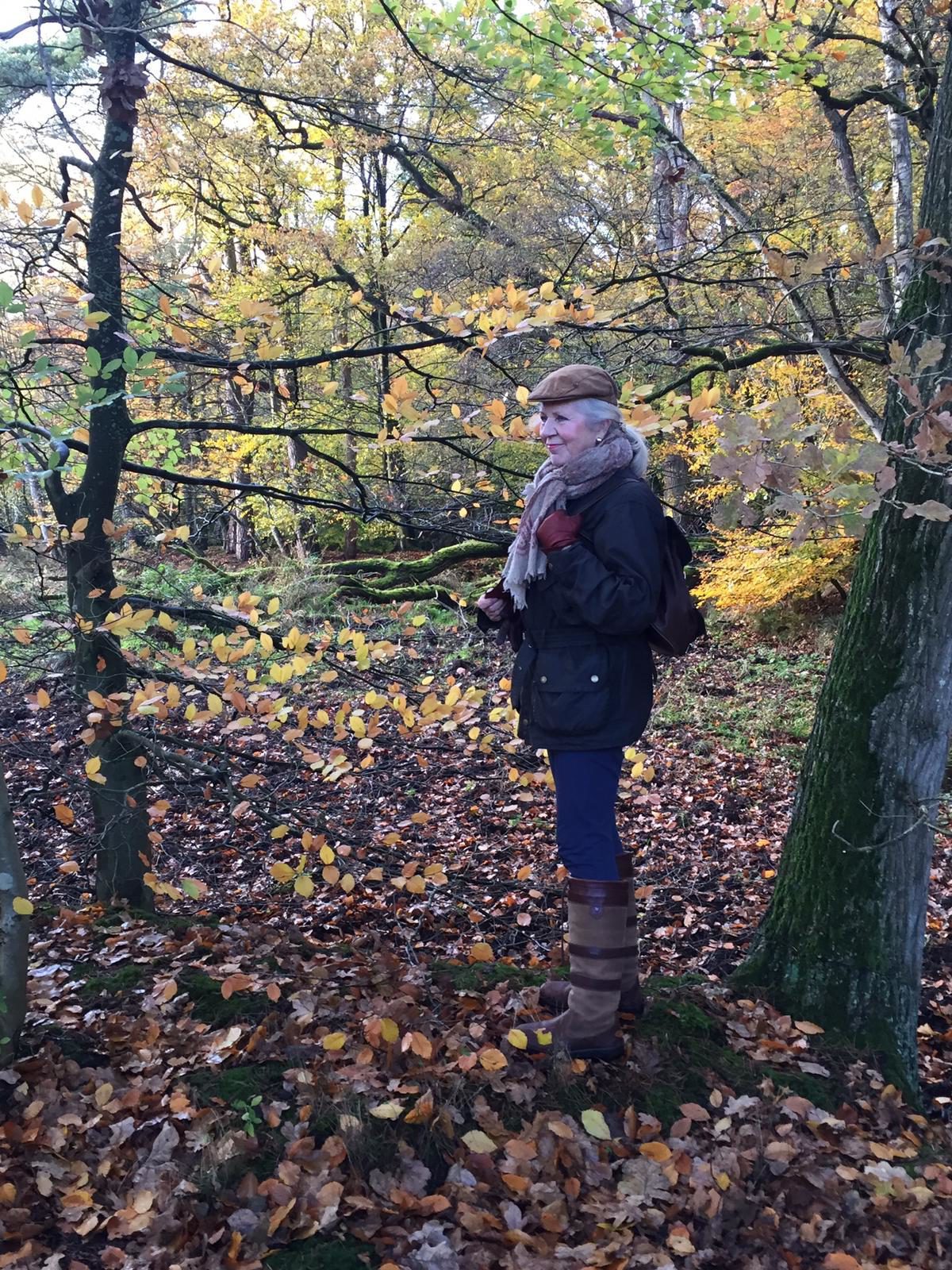 Wandeltocht vanuit 't Borghuis