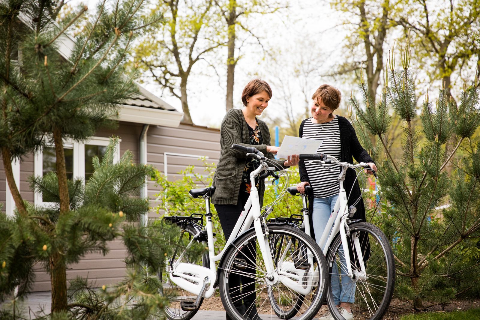 Bike rental