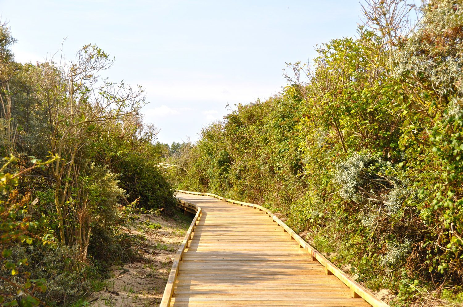 Le sentier du Platier d’Oye
