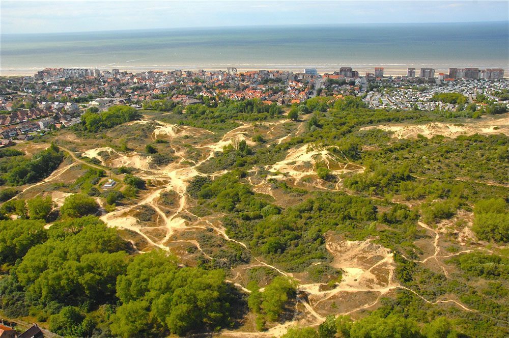 Bray-Dunes Etoile de Mer