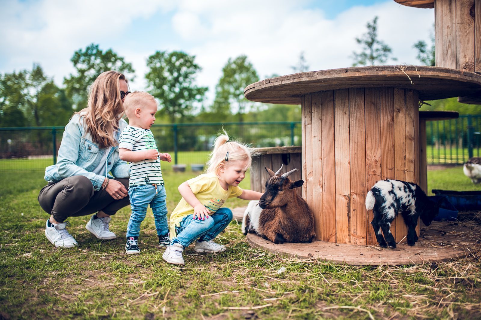 Dierenweide