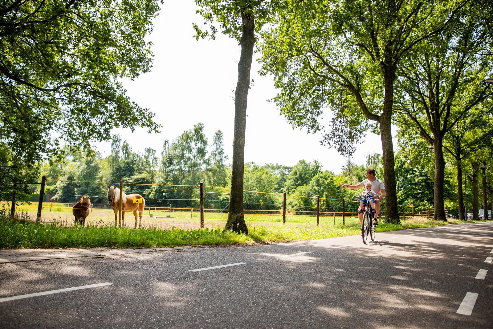 Elektrofahrradverleih