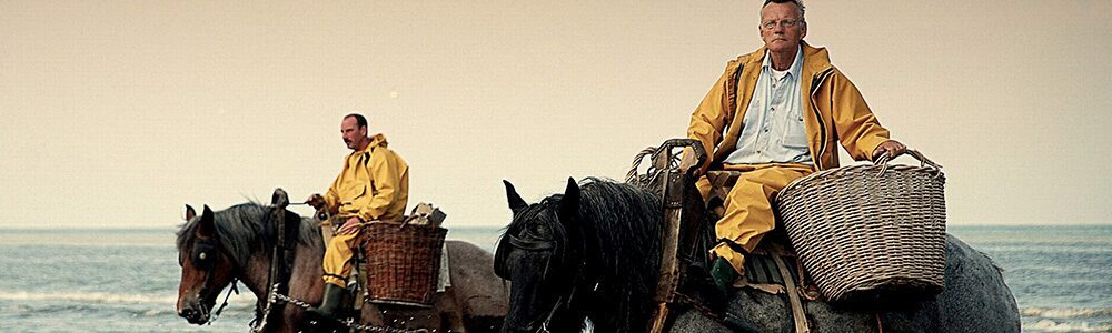 2 chevaux La Panne à la plage