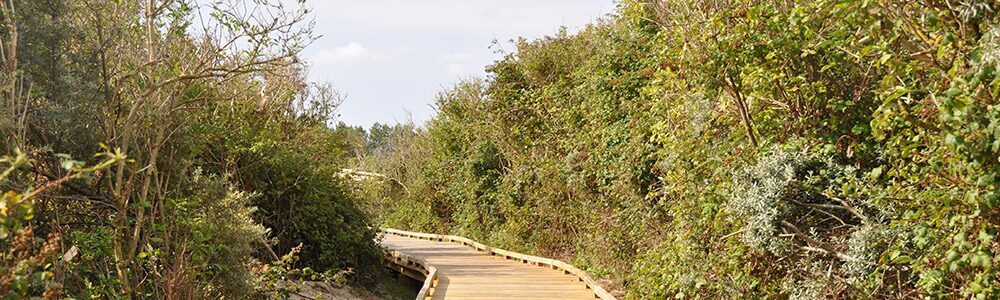La nature d'Oye-Plage à la France