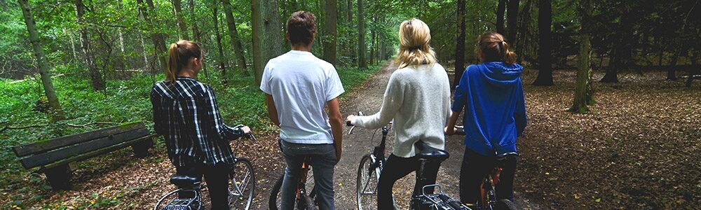 Faire le vélo dans le fôret