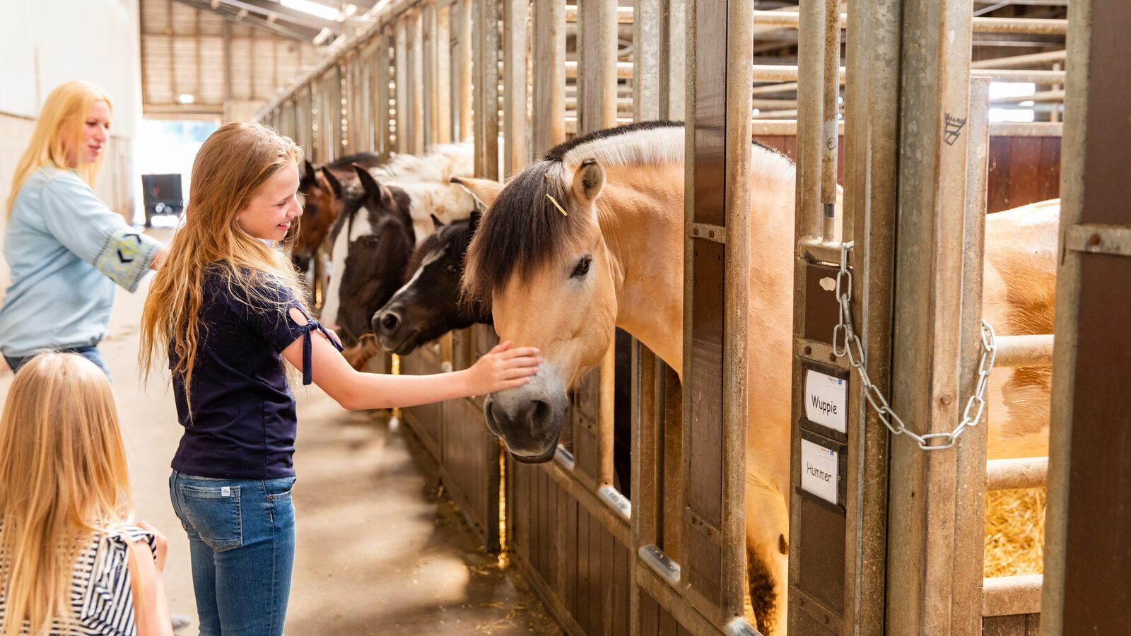 Riding school