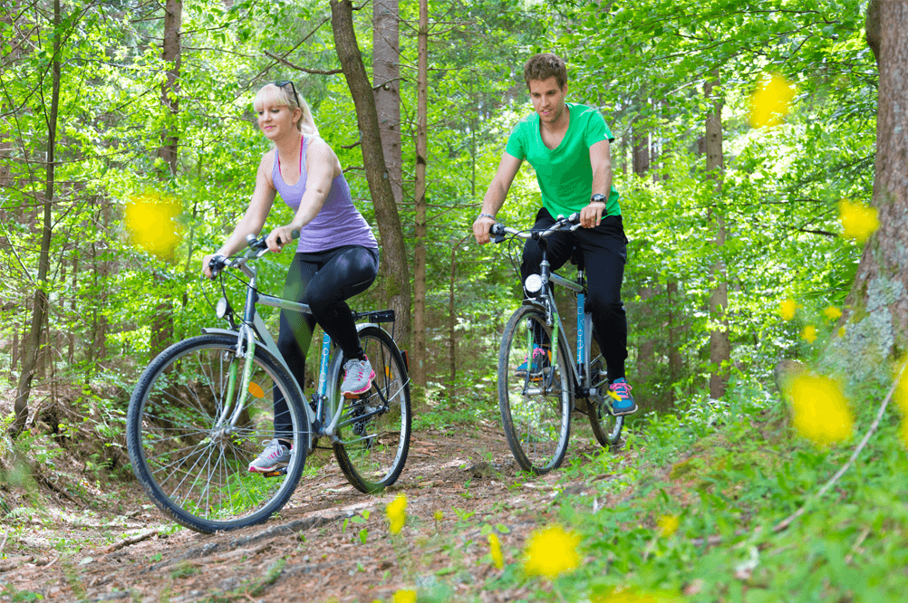Fietsen in het bos