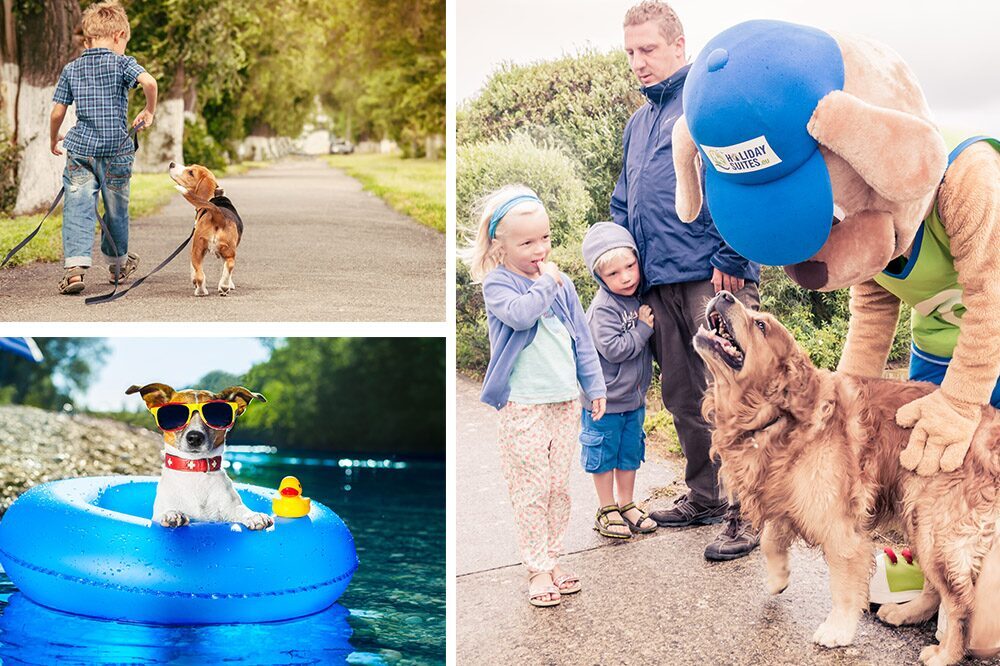 Suity en werelddierendag
