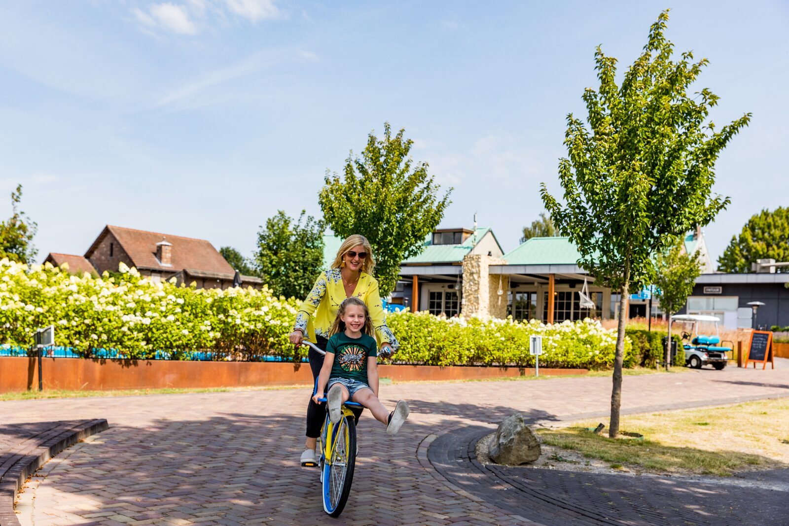 Bike rental