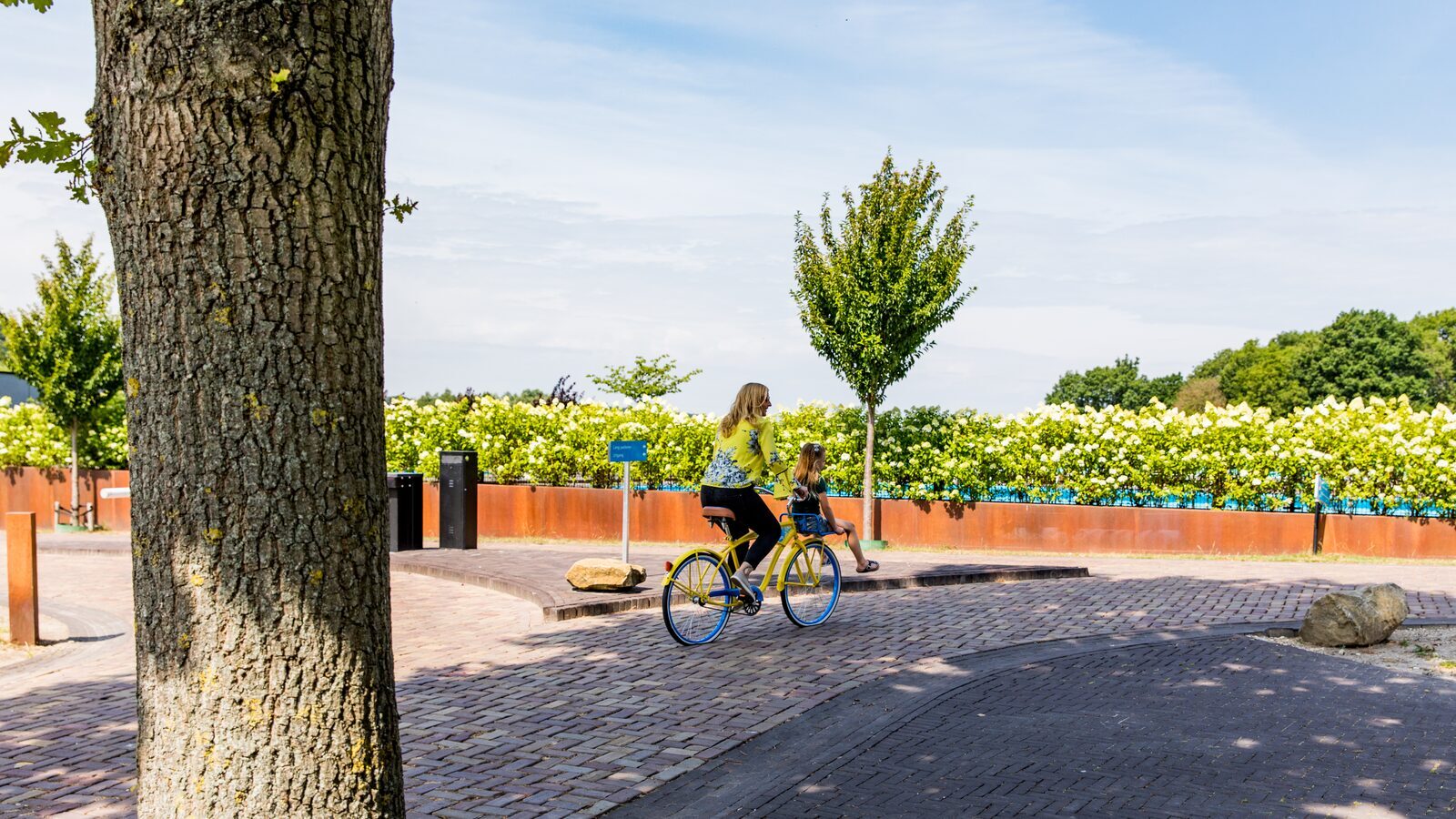 Electric bicycle rental
