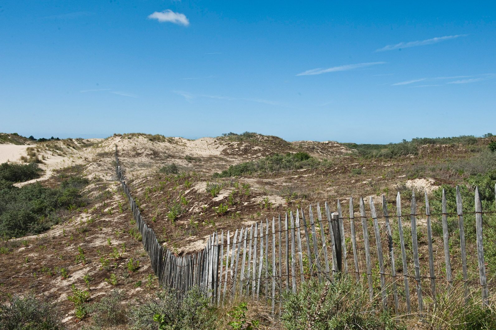 Bray-Dunes Etoile de Mer