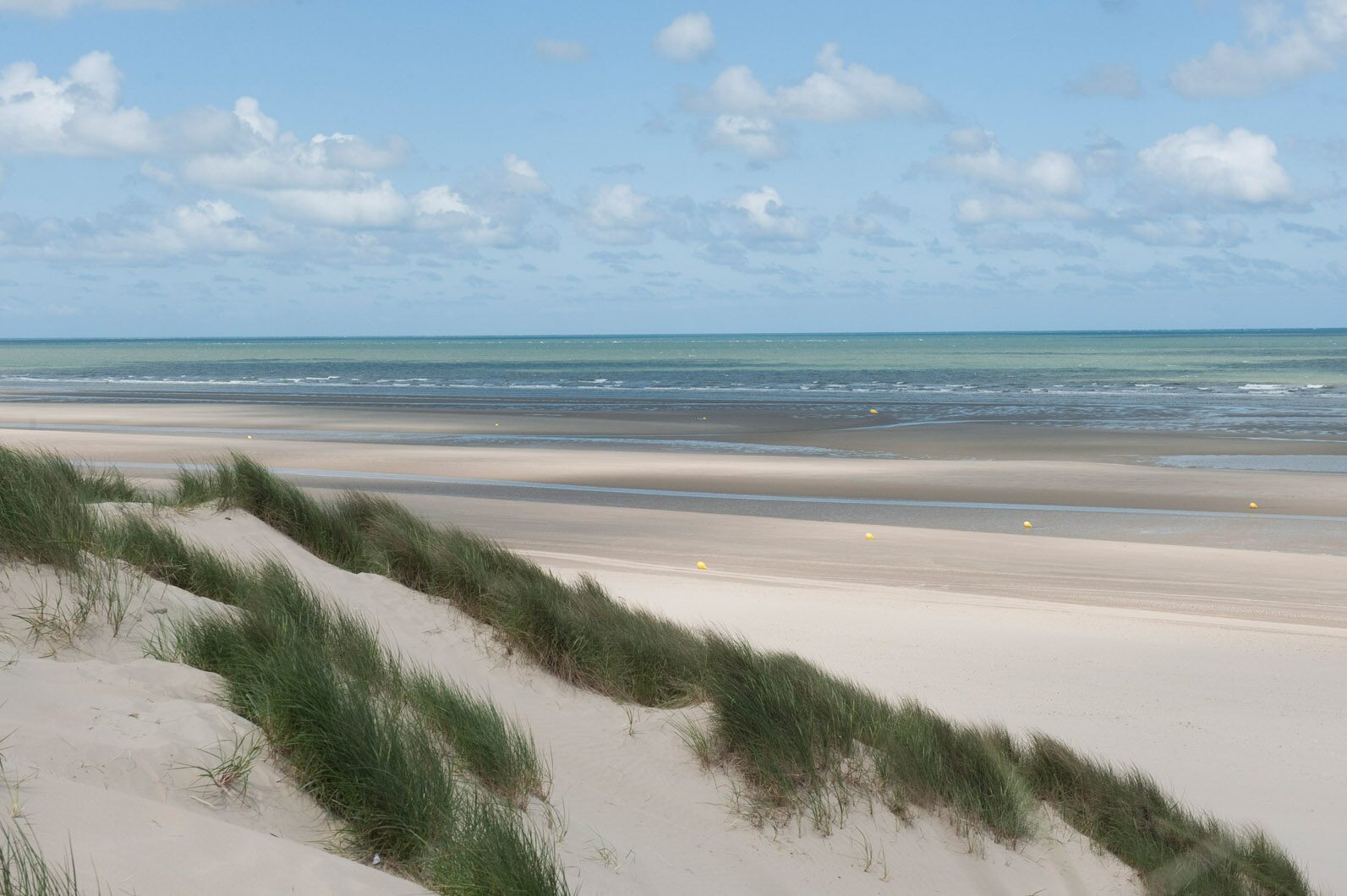 Bray-Dunes Etoile de Mer