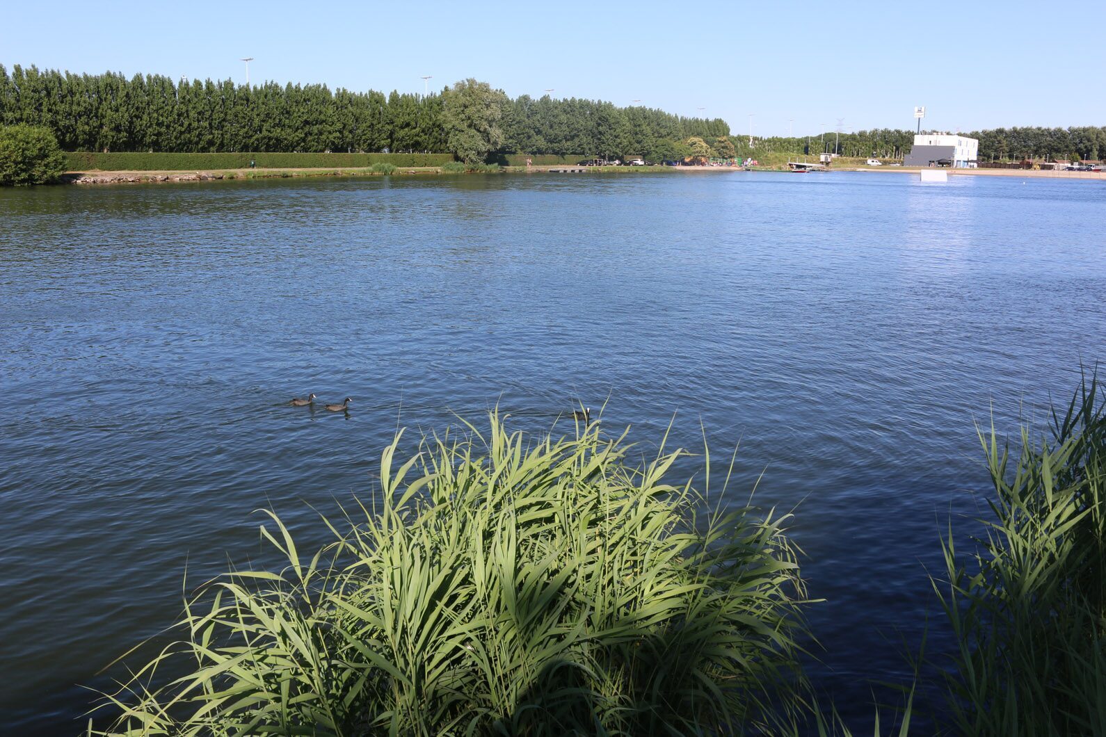 Jabbeke