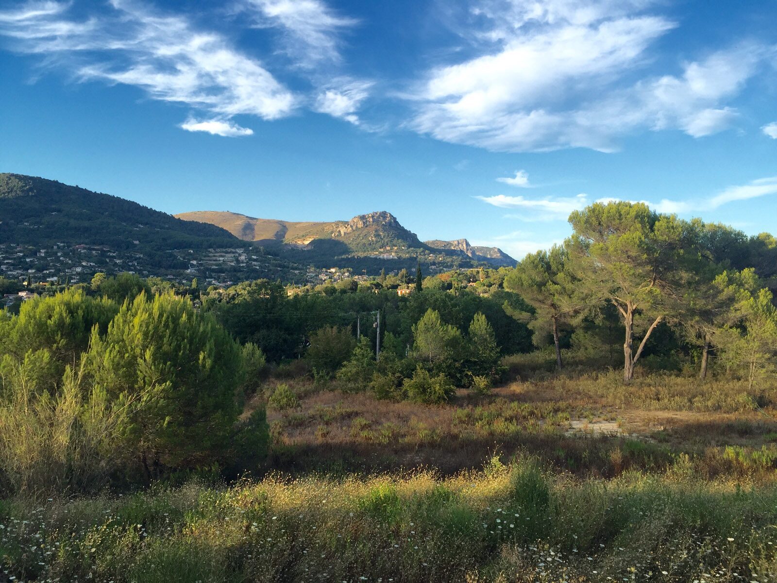 Vence