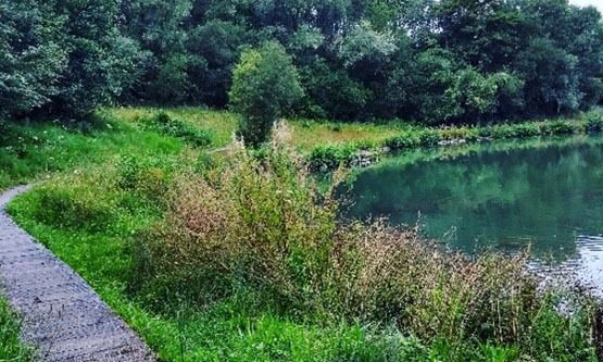 Etang de Glaisière à Nesles